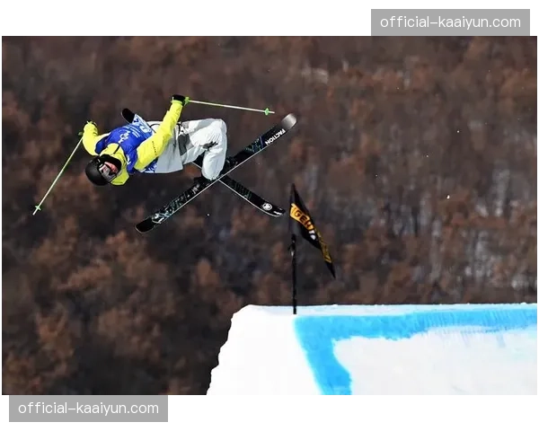 自由式滑雪男子大跳台挪威夺冠 动作难度与稳定性平衡 自由式滑雪男子大跳台挪威夺冠 动作难度与稳定性平衡